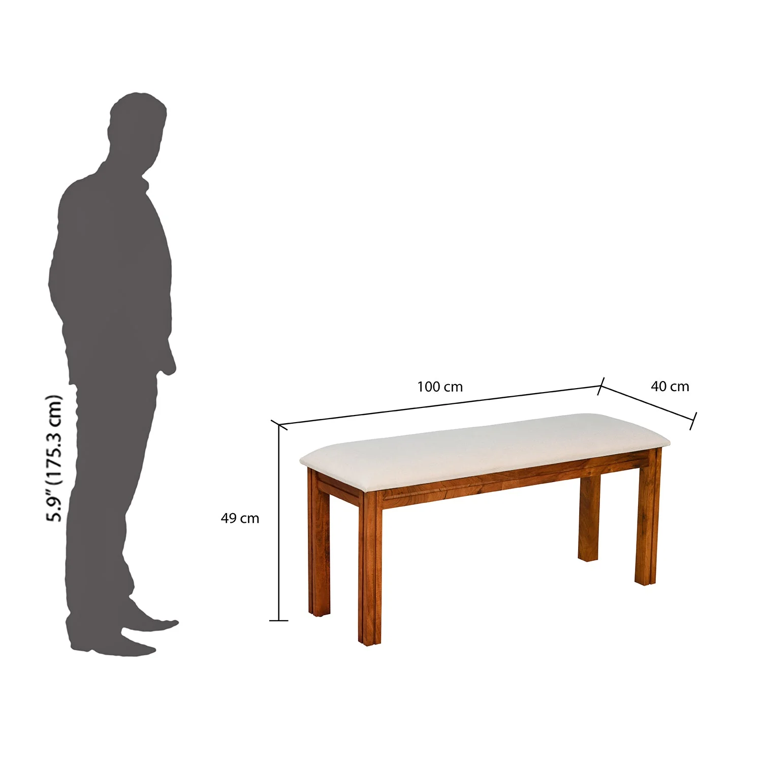 Nilkamal Cera Multi Use Medium Sitting Bench for Living Room | Dining Room (Honey Brown) - Image 6