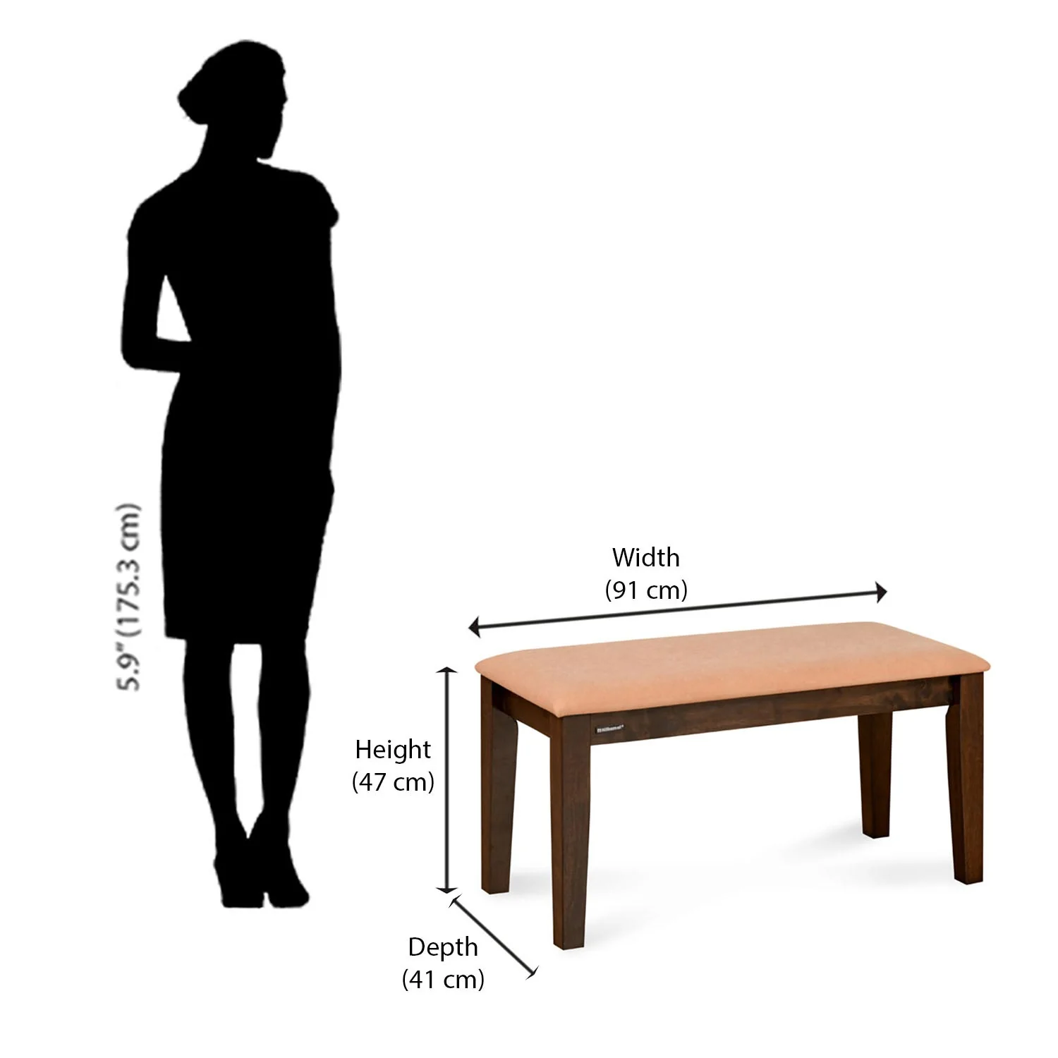Nilkamal Colombia Multi Use Medium Sitting Bench for Living Room | Dining Room (Wenge) - Image 7